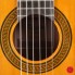 Takamine GC3-Nat Nova a estrenar