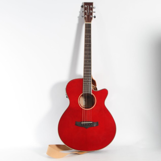 Tanglewood TW4R Serie Winterleaf de...