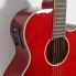 Tanglewood TW4R Serie Winterleaf de segunda mano