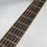 Tanglewood TW4R Serie Winterleaf de segunda mano