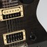 Guitarra eléctrica PRS Se Custom 22