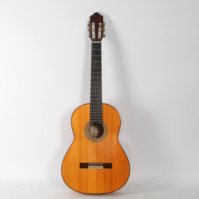 Guitarra Esteve 8F