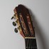 Guitarra Esteve 8F