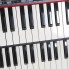 Clavia Nord C2 Combo Organ