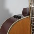 Guitarra Larry Carlton A4