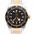 Rellotge TUDOR BLACK BAY 79733N