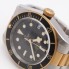 Rellotge TUDOR BLACK BAY 79733N