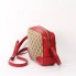 Bolso Gucci bandolera Bree