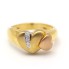 Anell COR d\'Or amb Diamants. Nou a estrenar