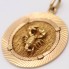 Médaille de l'horoscope scorpion d'occasion en or 18 carats