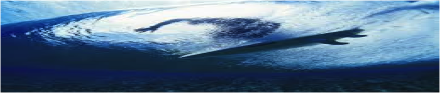 traje-neopreno-segunda-mano-2