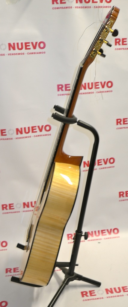 Guitarra_Ortega_M6CS_7