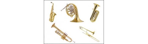 Instrumentos de viento